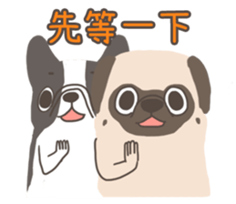 Pug&Boston Terrier sticker #13838327