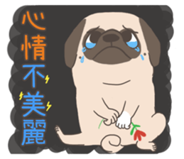 Pug&Boston Terrier sticker #13838332