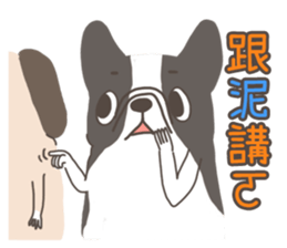 Pug&Boston Terrier sticker #13838348