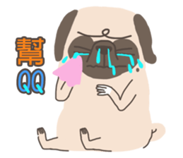 Pug&Boston Terrier sticker #13838350