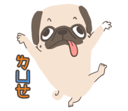 Pug&Boston Terrier sticker #13838352