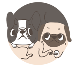 Pug&Boston Terrier sticker #13838362