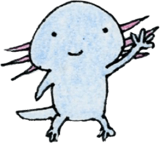 Axolotl painted by colored pencil. ver.2 sticker #13838399