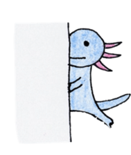 Axolotl painted by colored pencil. ver.2 sticker #13838421