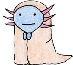 Axolotl painted by colored pencil. ver.2 sticker #13838422