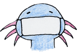 Axolotl painted by colored pencil. ver.2 sticker #13838428