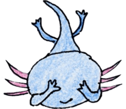 Axolotl painted by colored pencil. ver.2 sticker #13838429