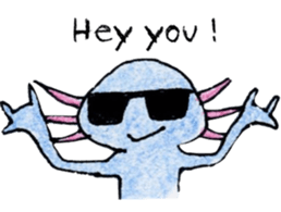 Axolotl painted by colored pencil. ver.2 sticker #13838432