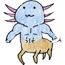 Axolotl painted by colored pencil. ver.2 sticker #13838434