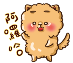 Little crazy Pomeranian ballbe sticker #13840806