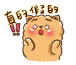 Little crazy Pomeranian ballbe sticker #13840818