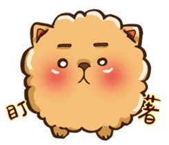 Little crazy Pomeranian ballbe sticker #13840820