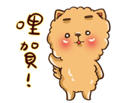 Little crazy Pomeranian ballbe sticker #13840825