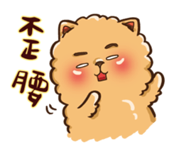 Little crazy Pomeranian ballbe sticker #13840830