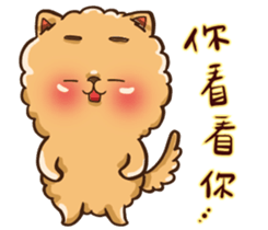 Little crazy Pomeranian ballbe sticker #13840838