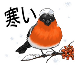 Russian Everyday Motives II sticker #13841708