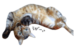 kura daily sometimes with rai sticker #13844573