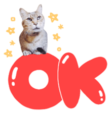 kura daily sometimes with rai sticker #13844584