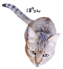 kura daily sometimes with rai sticker #13844589