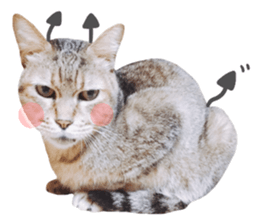 kura daily sometimes with rai sticker #13844591