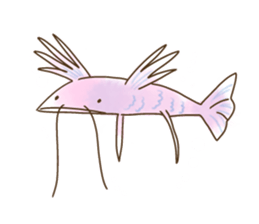 taso animal sticker #13844654