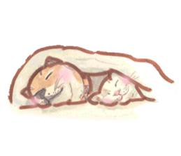 watercolor Cats sticker #13845093