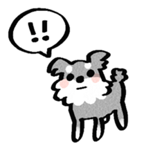 Miniature Schnauzer of RIKU sticker #13845151