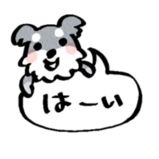 Miniature Schnauzer of RIKU sticker #13845152