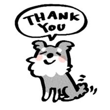 Miniature Schnauzer of RIKU sticker #13845155