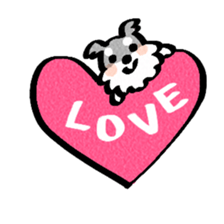 Miniature Schnauzer of RIKU sticker #13845156