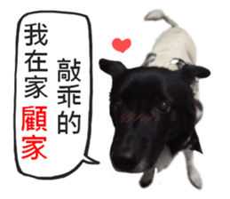 Happy Dogs Club:Real sticker #13845312