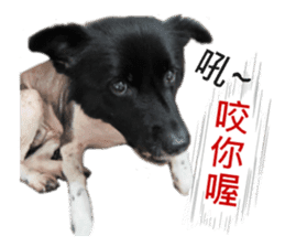 Happy Dogs Club:Real sticker #13845313