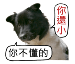 Happy Dogs Club:Real sticker #13845314