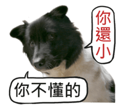 Happy Dogs Club:Real sticker #13845314