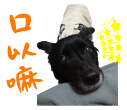 Happy Dogs Club:Real sticker #13845317