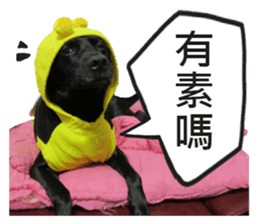 Happy Dogs Club:Real sticker #13845318