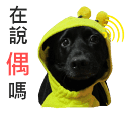 Happy Dogs Club:Real sticker #13845319