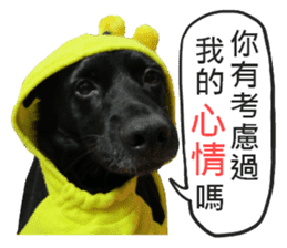 Happy Dogs Club:Real sticker #13845320