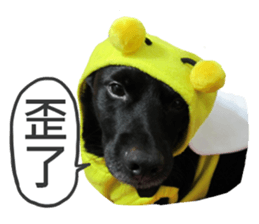 Happy Dogs Club:Real sticker #13845321