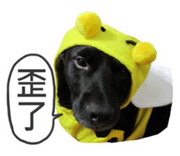 Happy Dogs Club:Real sticker #13845321