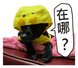 Happy Dogs Club:Real sticker #13845322