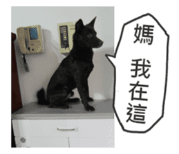 Happy Dogs Club:Real sticker #13845323