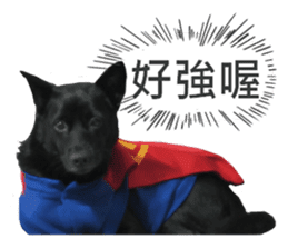 Happy Dogs Club:Real sticker #13845328