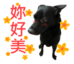 Happy Dogs Club:Real sticker #13845330