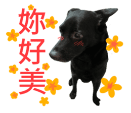 Happy Dogs Club:Real sticker #13845330