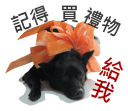 Happy Dogs Club:Real sticker #13845331