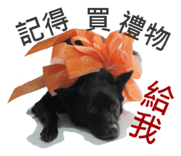 Happy Dogs Club:Real sticker #13845331