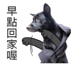 Happy Dogs Club:Real sticker #13845333