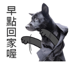 Happy Dogs Club:Real sticker #13845333