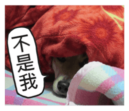 Happy Dogs Club:Real sticker #13845335